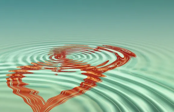 Rajbet Casino Stuðningur